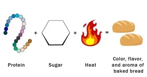 Maillard-Reaction